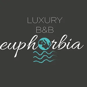 Luxury Euphorbia Couette-café